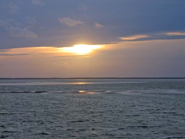 IMG_0805